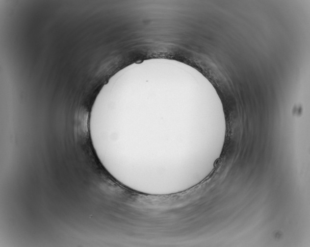 X0000103460041200810031507