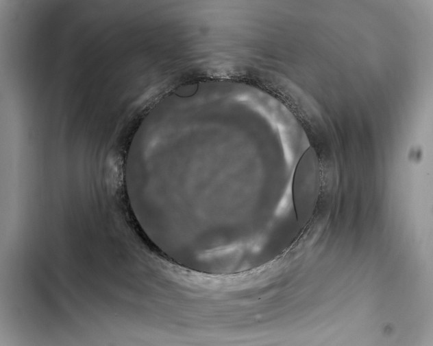 X0000103460043200810031507