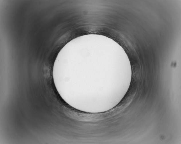X0000103460044200810031507