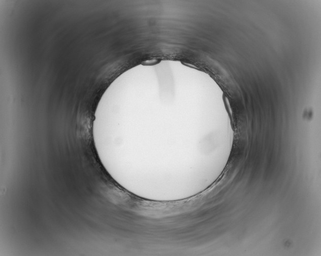 X0000103460045200810031507