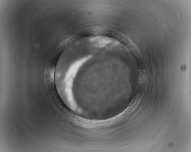 X0000103460047200810031507