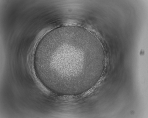 X0000103460049200810031507