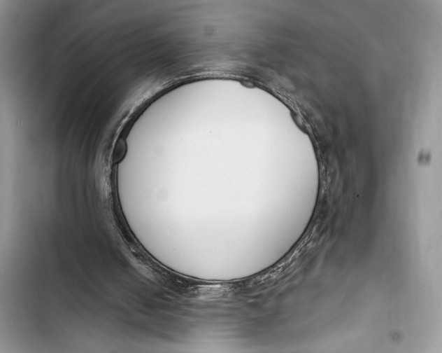 X0000103460050200810031507