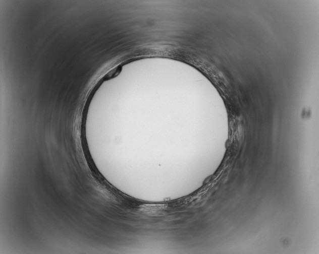 X0000103460051200810031507