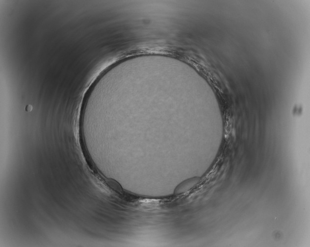 X0000103460052200810031507