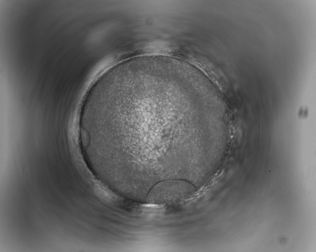 X0000103460053200810031507