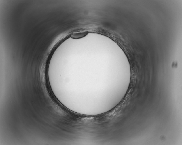 X0000103460054200810031507