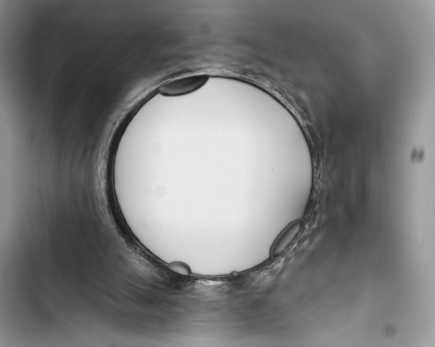 X0000103460055200810031507