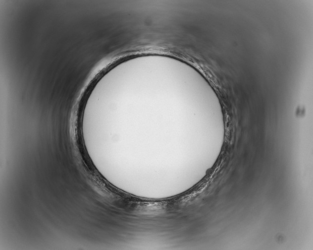 X0000103460056200810031507
