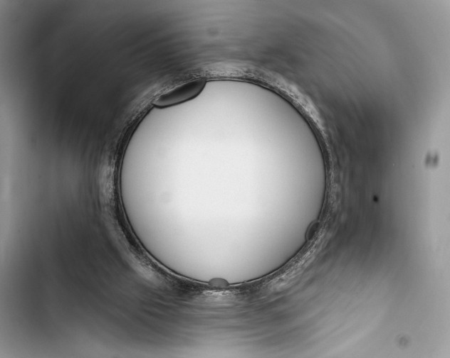 X0000103460057200810031507