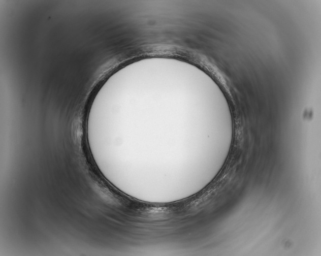X0000103460059200810031507