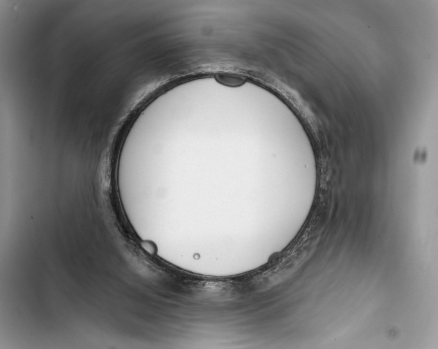 X0000103460060200810031507