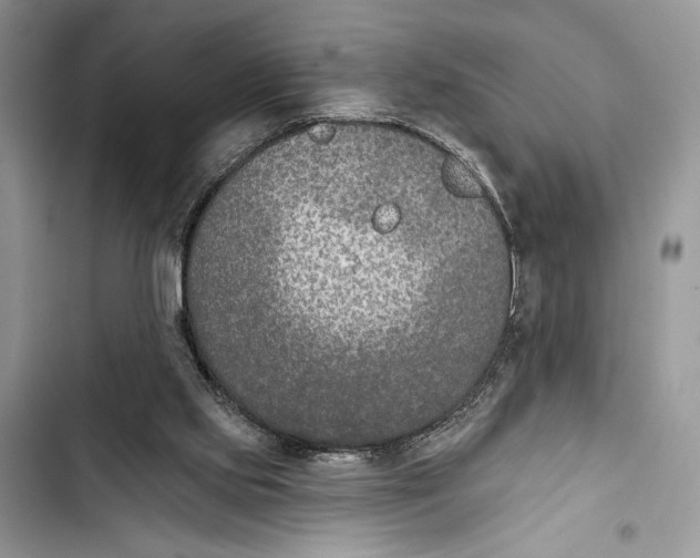 X0000103460061200810031507