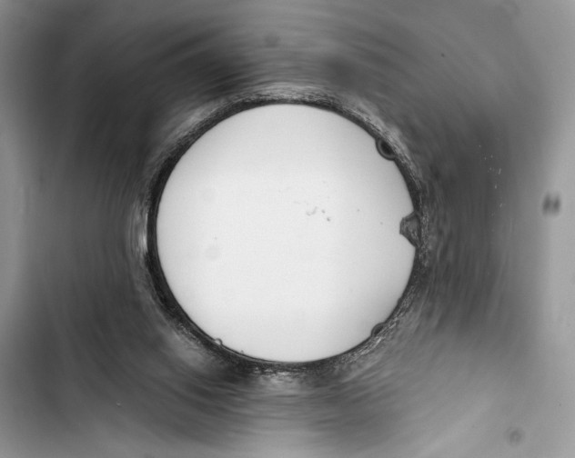 X0000103460062200810031507