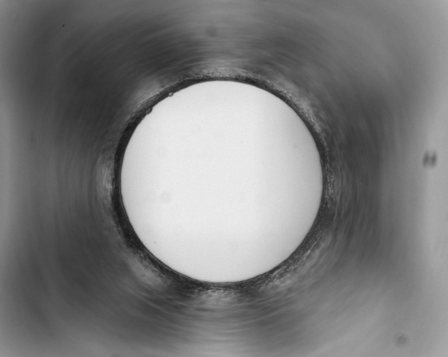 X0000103460063200810031507