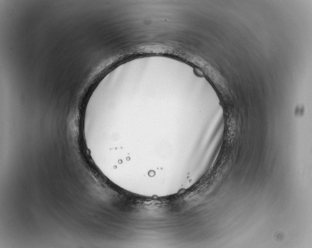 X0000103460064200810031507