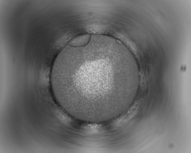 X0000103460065200810031507