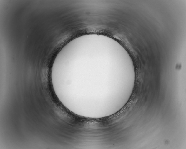 X0000103460066200810031507