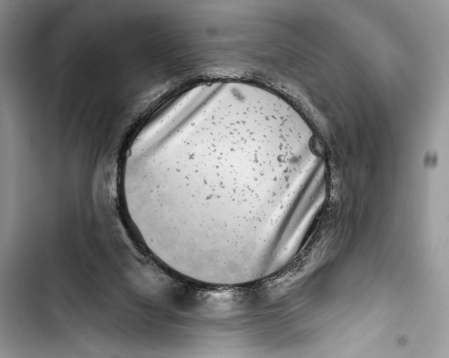 X0000103460068200810031507