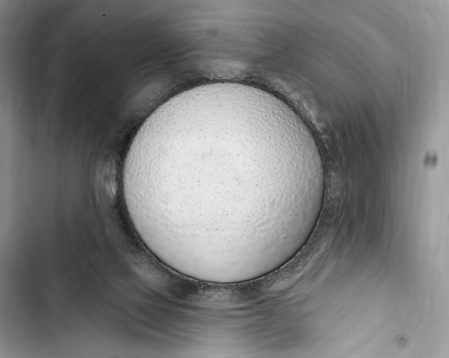 X0000103460069200810031507