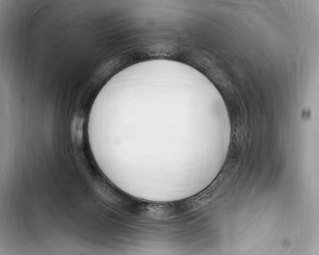 X0000103460070200810031507