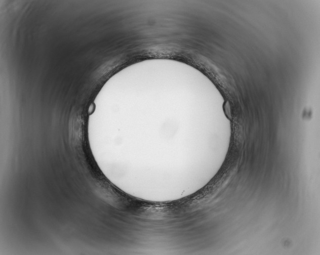 X0000103460071200810031507