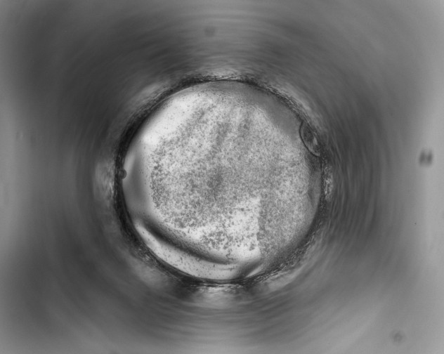 X0000103460072200810031507