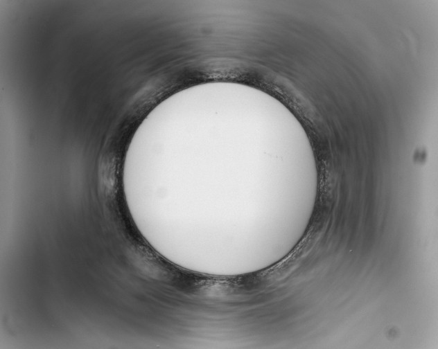 X0000103460074200810031507