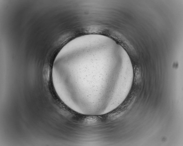 X0000103460076200810031507