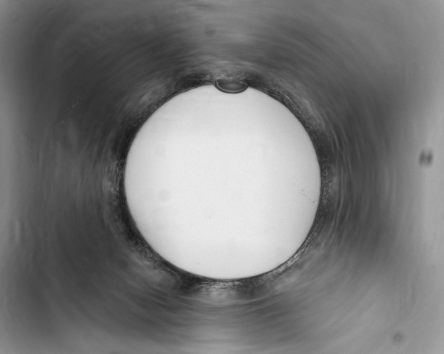 X0000103460078200810031507