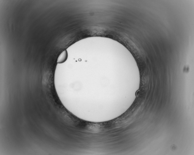 X0000103460079200810031507