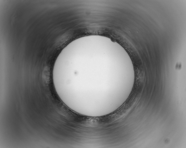 X0000103460080200810031507