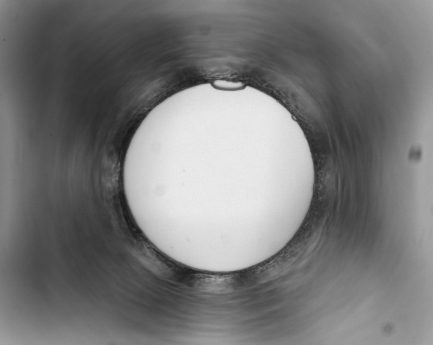 X0000103460081200810031507