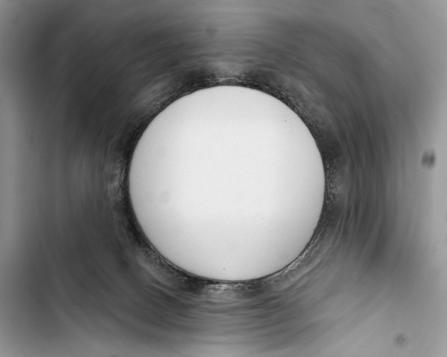 X0000103460082200810031507