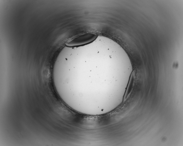 X0000103460084200810031507
