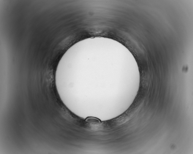 X0000103460085200810031507