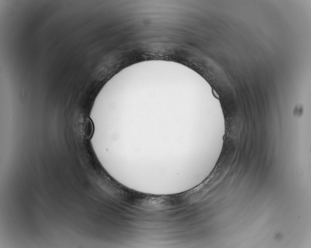 X0000103460086200810031507