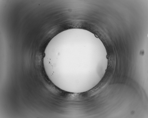 X0000103460092200810031507
