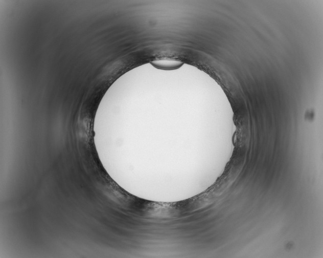 X0000103460093200810031507