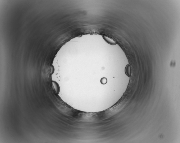 X0000103460096200810031507