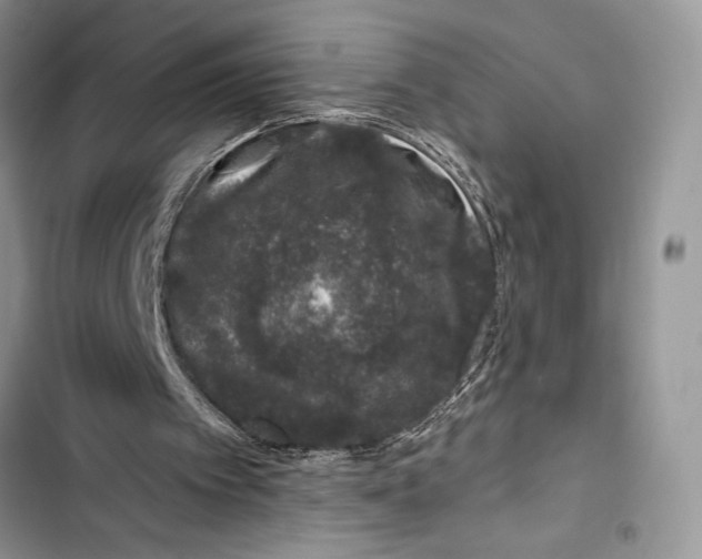 X0000103460097200810031507