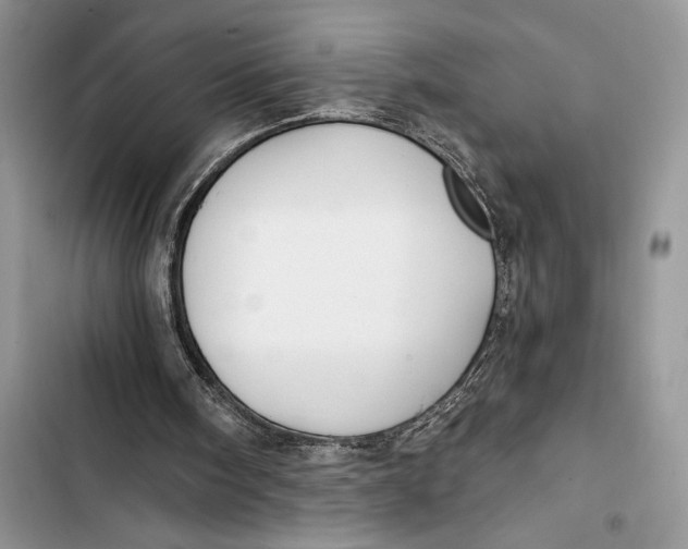 X0000103460098200810031507