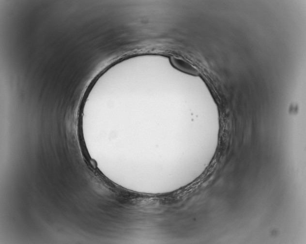 X0000103460100200810031507