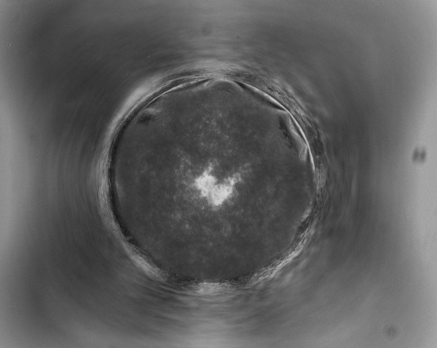 X0000103460101200810031507