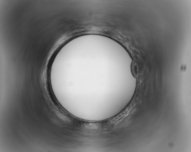 X0000103460102200810031507