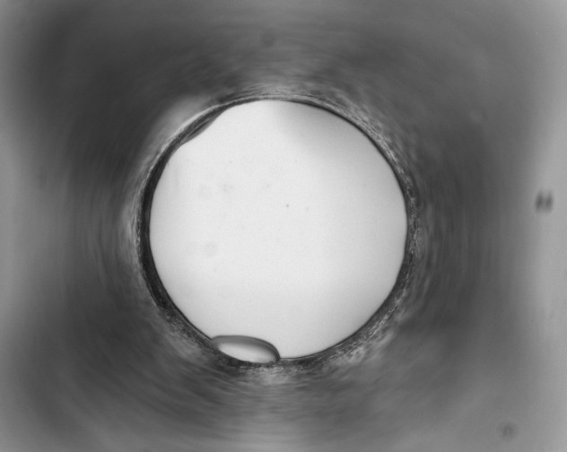 X0000103460103200810031507