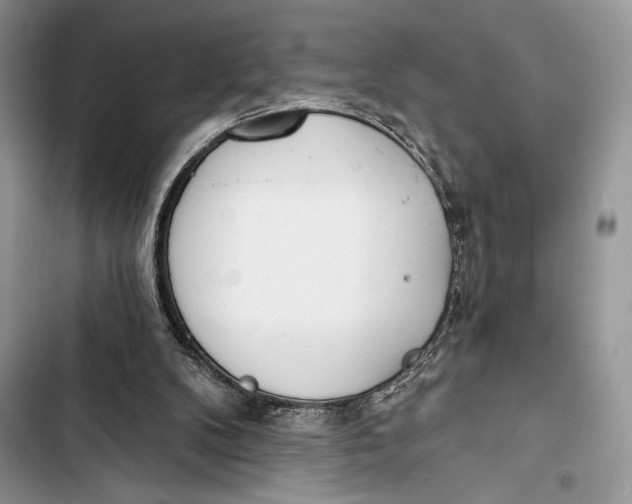 X0000103460104200810031507