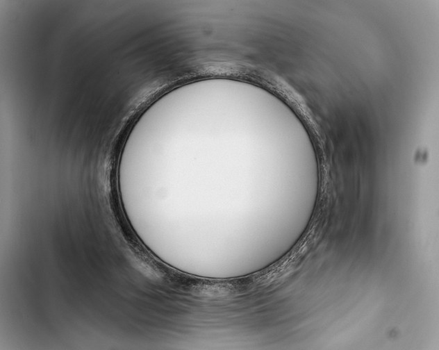 X0000103460106200810031506