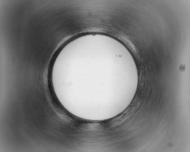 X0000103460108200810031506