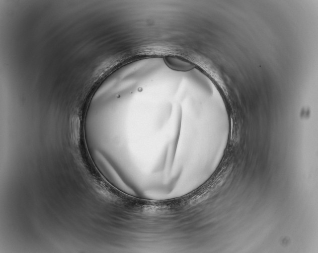 X0000103460109200810031506